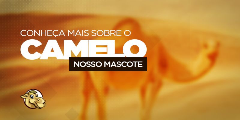 Conheça mais sobre o Camelo, nosso mascote!